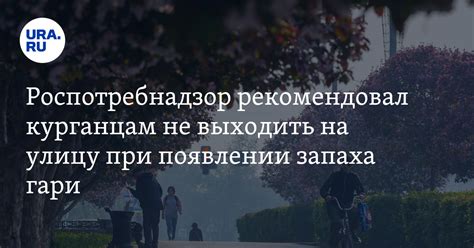 Предотвращение появления запаха и рекомендации по обслуживанию