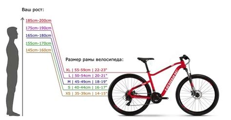 Предпочтительный выбор велосипеда