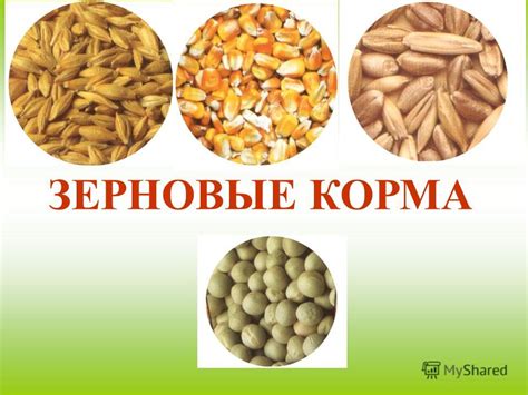 Преимущества включения картофеля и моркови в состав харчо: питательность и богатый аромат.