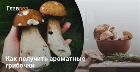 Преимущества избегания соленных грибов перед сном
