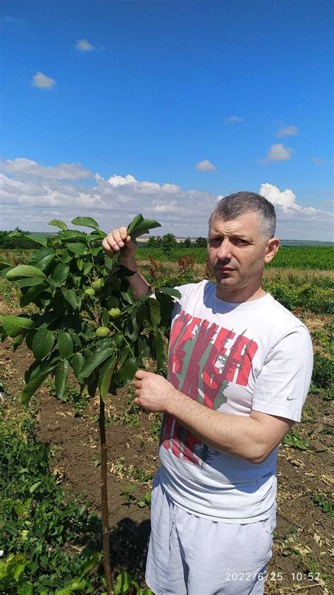 Преимущества использования опылителя