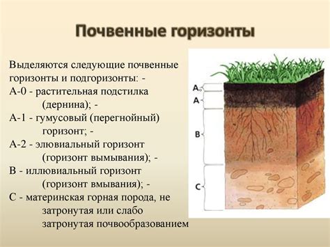 Преимущества использования специального контейнера и 4 ёмкостей для приращения плодородия почвы