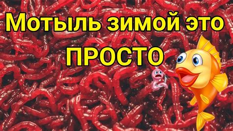 Преимущества и недостатки замороженного мотыля для рыбалки
