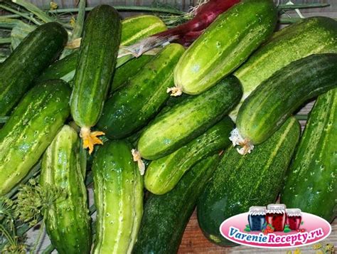Преимущества и недостатки маринования огурцов в домашних условиях