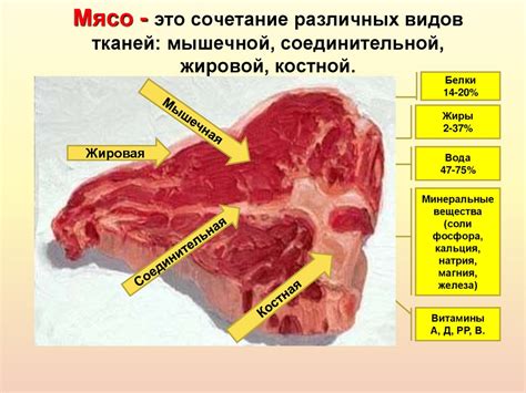 Преимущества и проблемы искусственной обработки мяса свиного языка с кожей