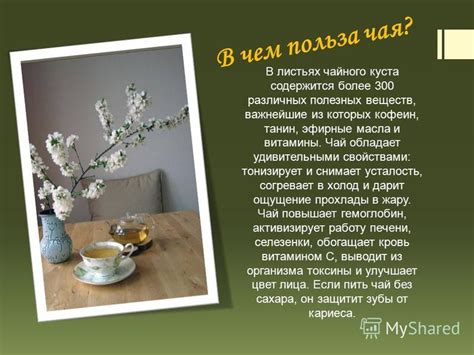 Преимущества обогащения чая удивительными свойствами рижского эликсира