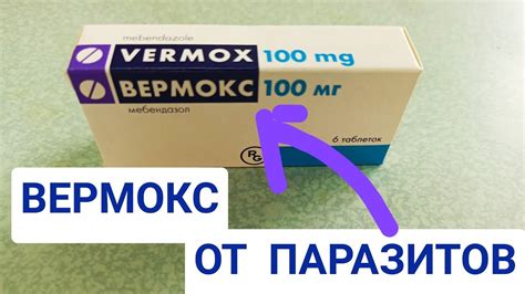Преимущества применения Вермокса для борьбы с глистами у собак