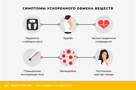 Преимущества ускоренного обмена веществ