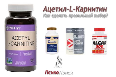 Преимущества L-карнитина для улучшения выносливости