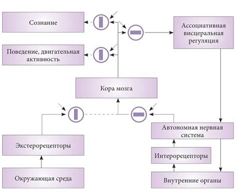 Препятствия в воссоздании состояния сна в современных технологиях