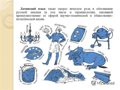 Префикс "нес-" и его роль в разнообразии русской лексики