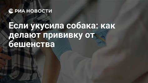 Прививка от бешенства: важность и последствия