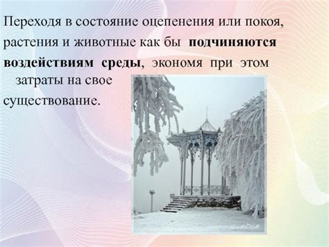 Приготовление среды для опаления и покоя растения