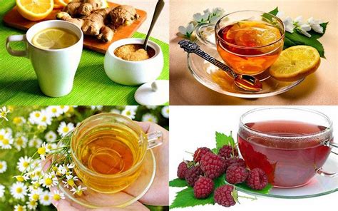 Признаки поражения и ослабления щавеля