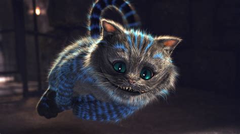 Признаки чеширского кота