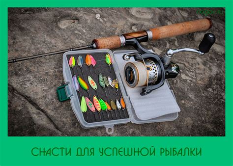 Приманки и снасти для успешной рыбалки
