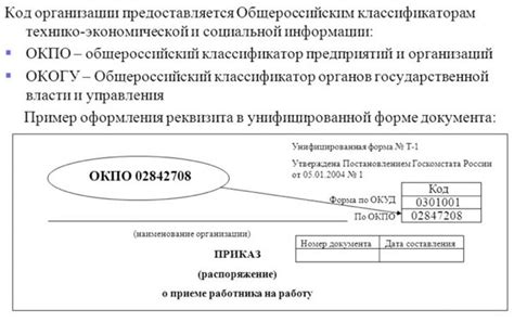 Применение ОКУД и ОКПО в деятельности ИП