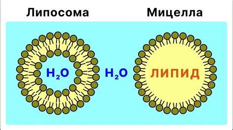 Применение мицеллы