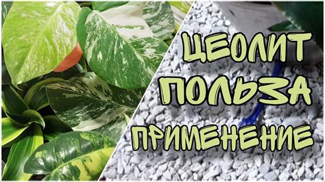 Применение цеолита