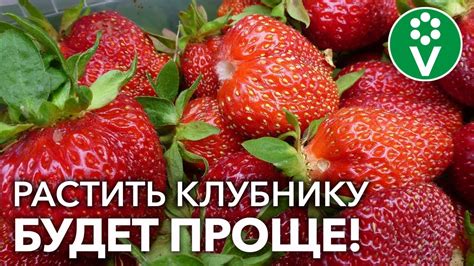 Примеры ухода за каждой зоной