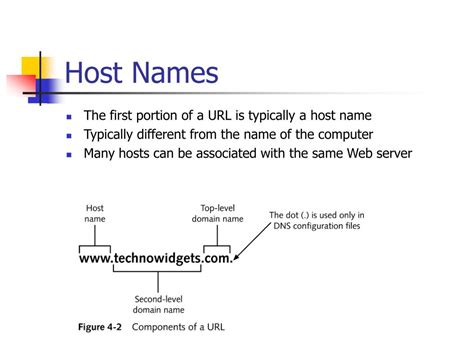 Примеры host name