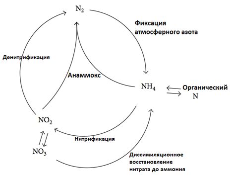 Примитивная реакция