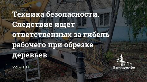 Принципы безопасности при сажании деревьев