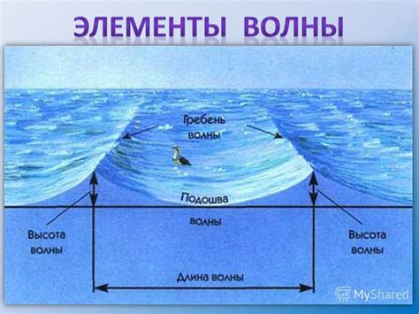Принципы движения воды
