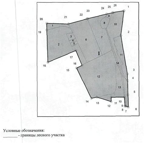 Принципы проектирования эффективного строения для улучшения лесного хозяйства