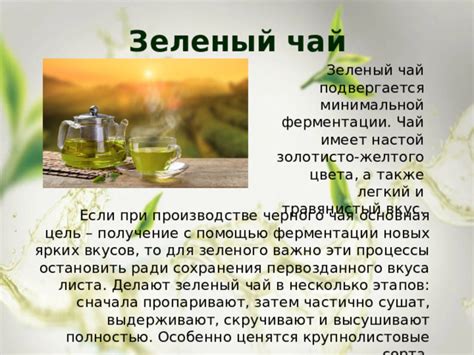 Принципы хранения зеленого чая листового для сохранения его качества