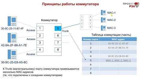 Принцип работы настраиваемого коммутатора