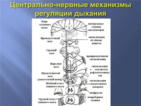 Принцип функционирования механизмов предотвращения перегрева в миксере