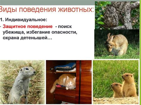 Природное инстинктивное поведение
