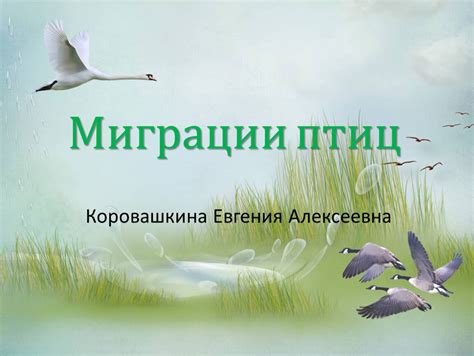 Природные миграции птиц