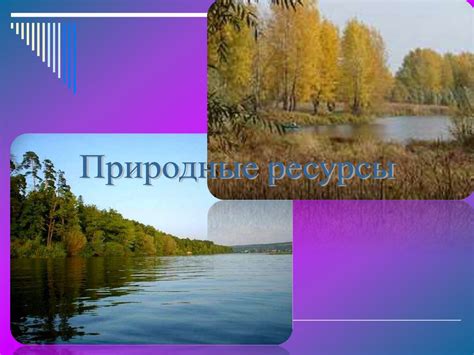 Природные особенности Волго-Вятского района