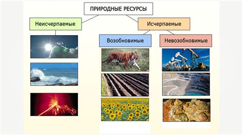 Природные ресурсы под угрозой