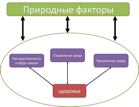 Природные факторы, влияющие на метание котов в помещении