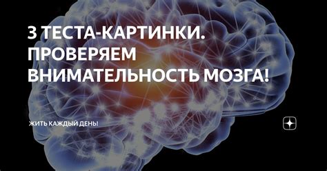 Причина 7: Внимательность и детальность