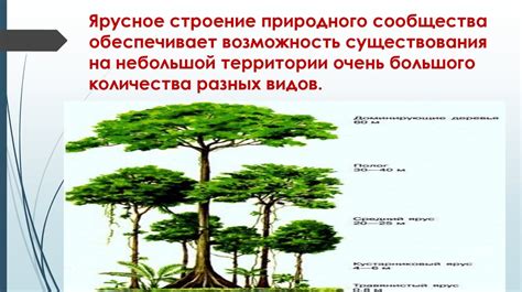 Причины, вызывающие потребность в перезагрузке терминала