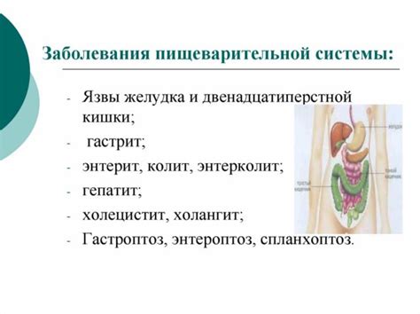 Причины возникновения заболеваний пищеварительной системы и возможное воздействие фиников
