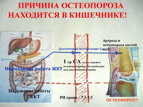 Причины возникновения проблем со здоровьем при смене партнера