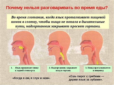 Причины возникновения хлопающего звука при глотании: