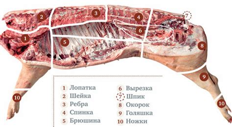 Причины запаха у свинины