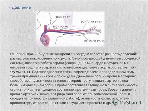 Причины и механизмы движения