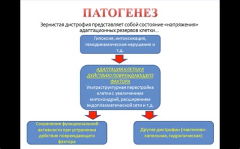 Причины и механизмы развития боли