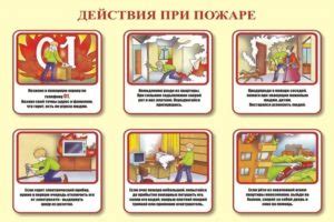 Причины и профилактика действий