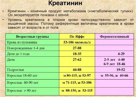 Причины повышенного уровня креатинина в крови: основные факторы