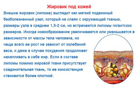 Причины появления бугорков на спине