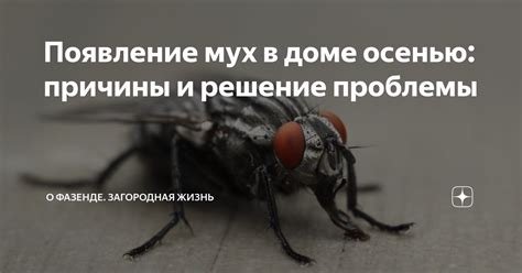 Причины появления мух в доме