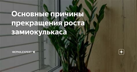 Причины прекращения роста